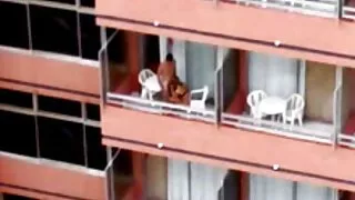 Romântico pornô com longos videos pornos caseiro brasileiro cabelos menina