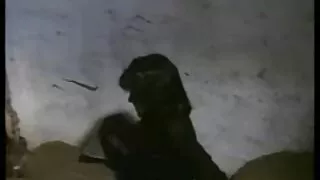 Mulher morena mimada pelo vídeo amador pornô brasileiro marido com um crédito anal