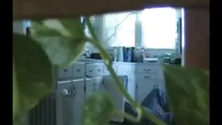 Você vídeo pornô grátis brasileiro não sabe jogar cartas-você pagará com um chapéu
