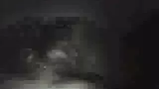 Checa videos pormo brasileiro e ela mesma não é avessa a foder num ta ta